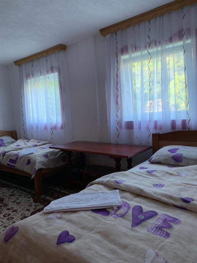 Maglic Villa Pluzine Exterior photo